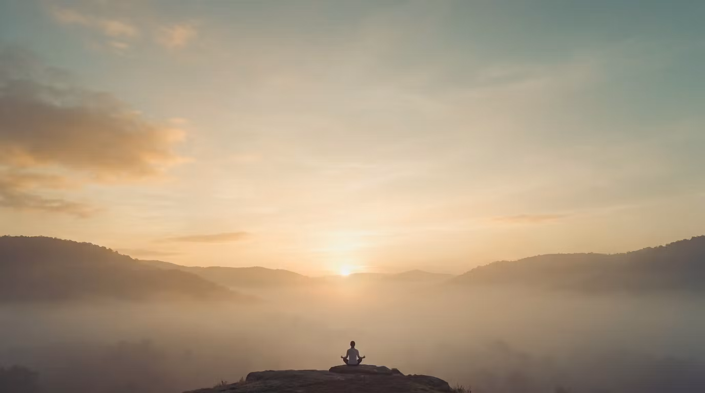 Zenvora Wellness