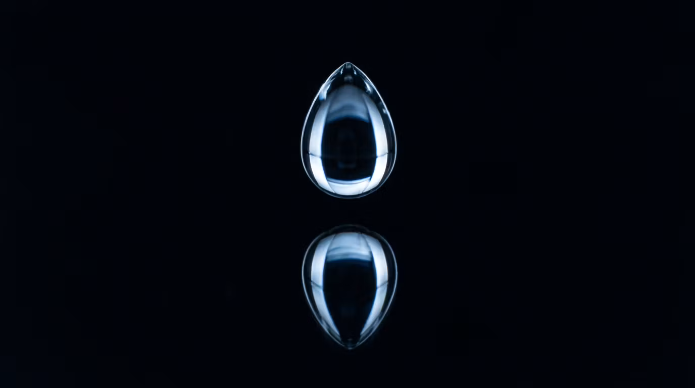 Emotional Mastery & Detachment