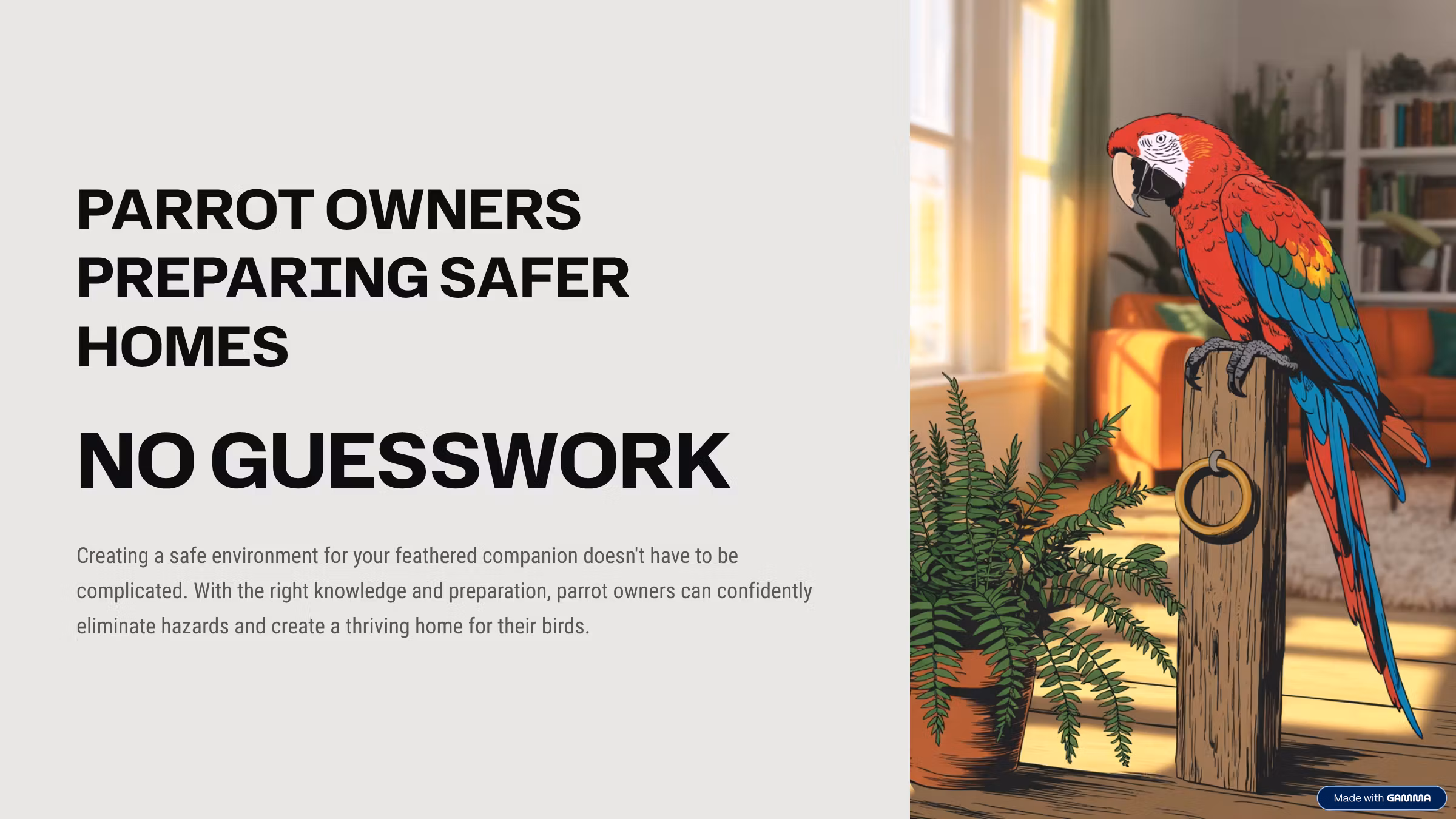  Safer Homes For Parrots No Guesswork