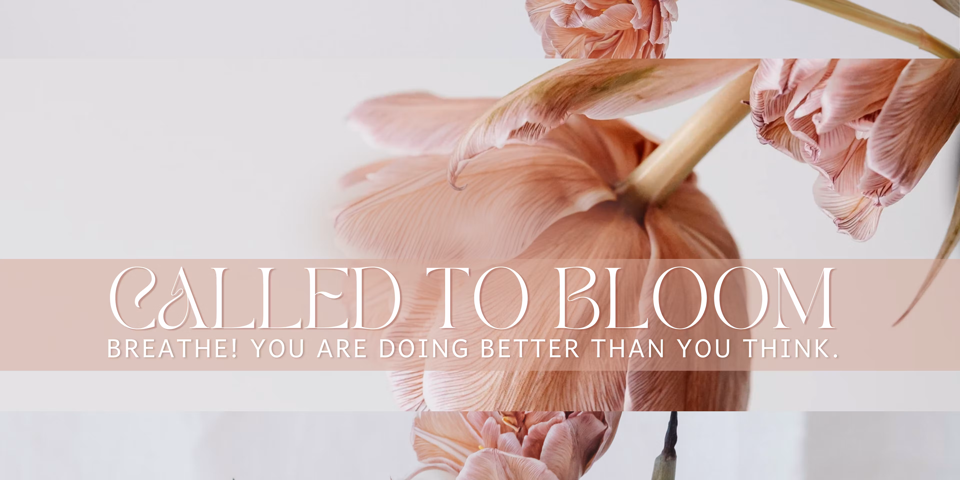 Called to Bloom
