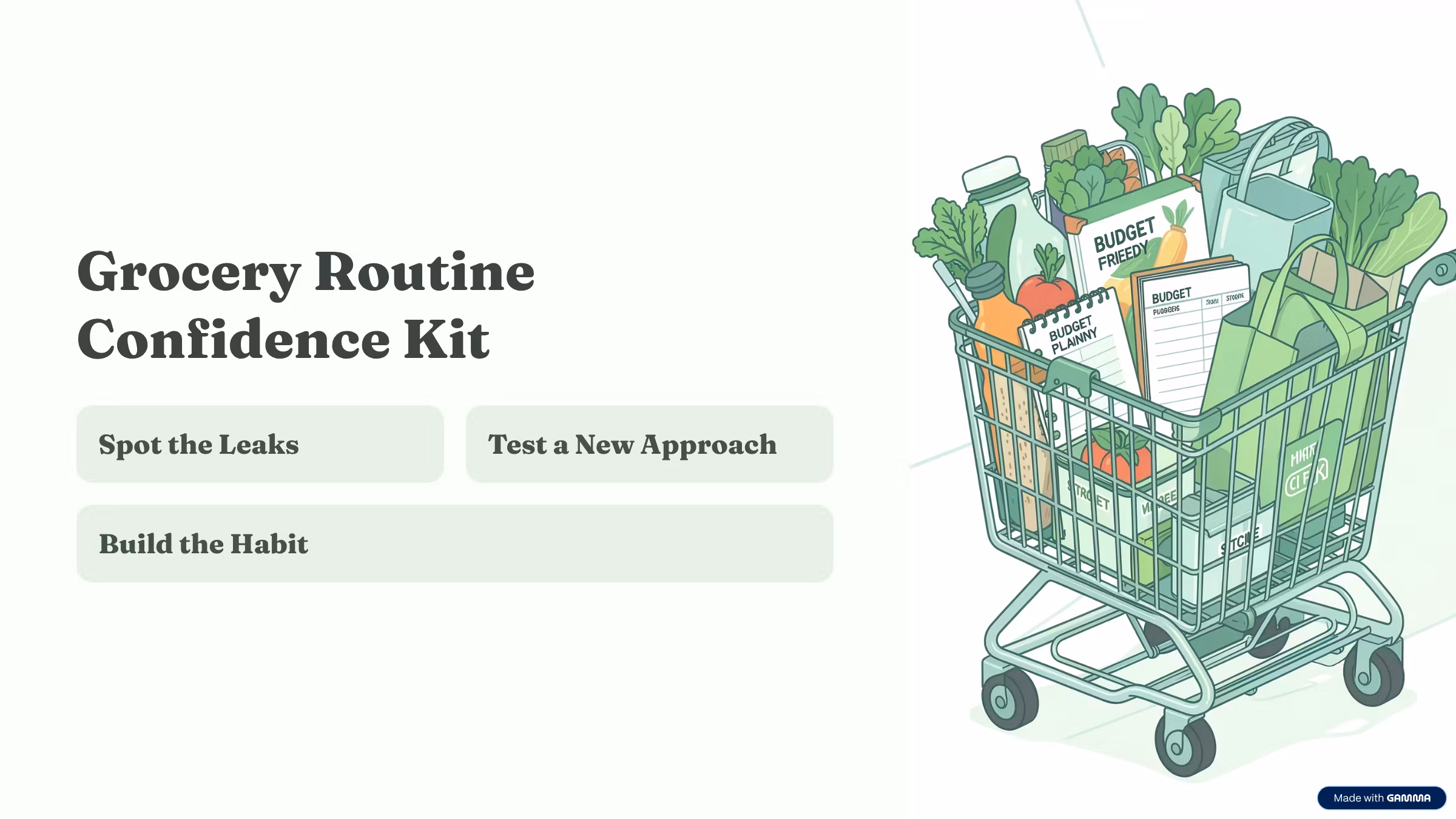 Grocery Routine Confidence Kit