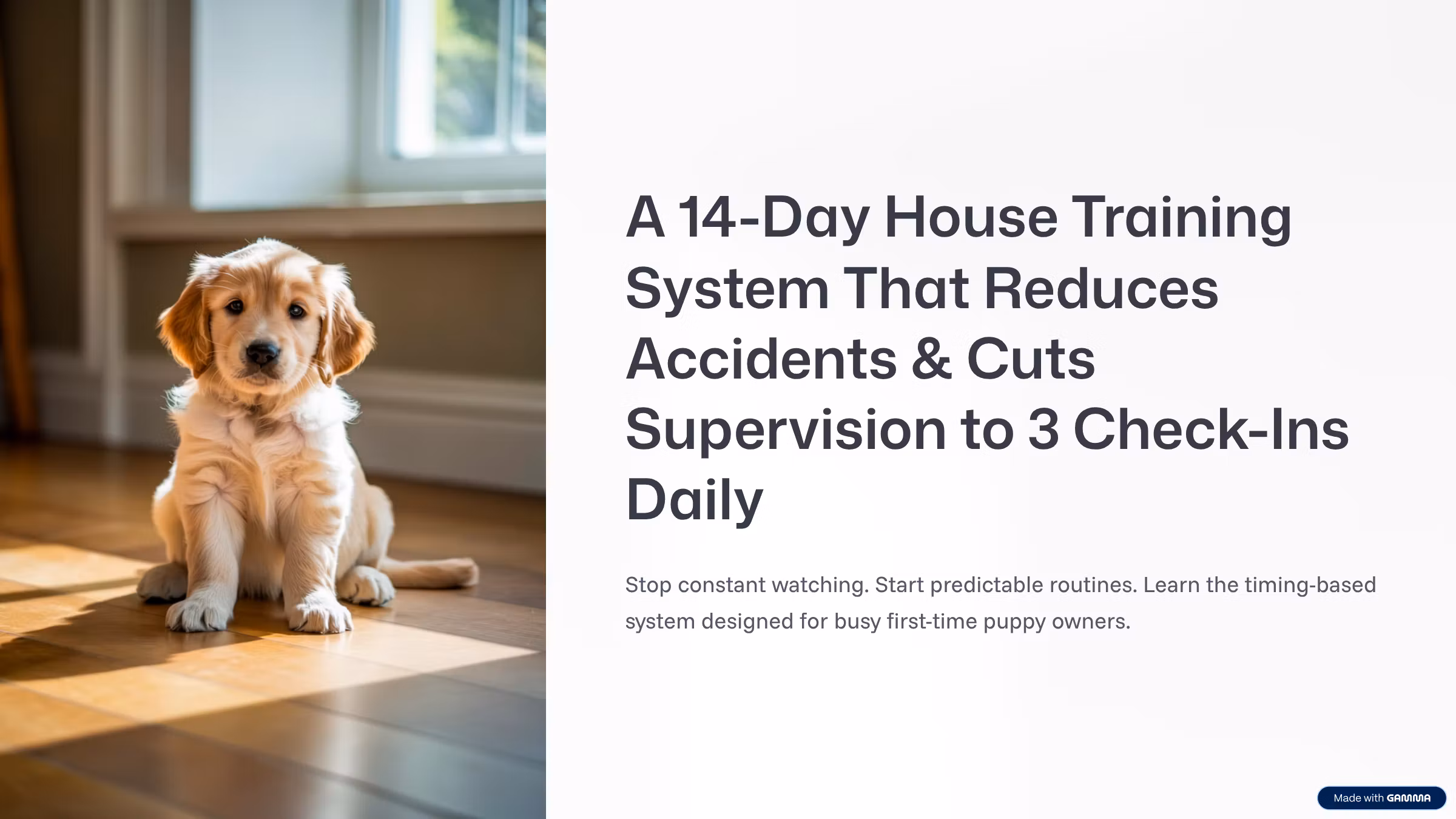 Puppy Owners Getting Clean Floors Withou