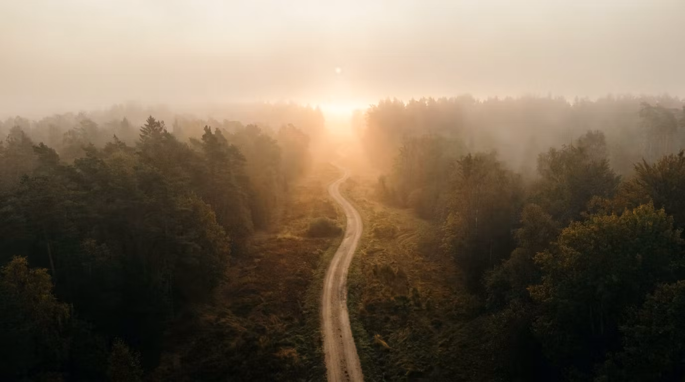 Finding Your Way Back
