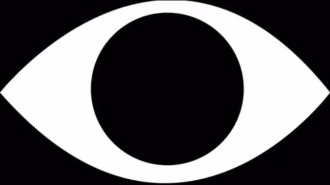 VoidInsight