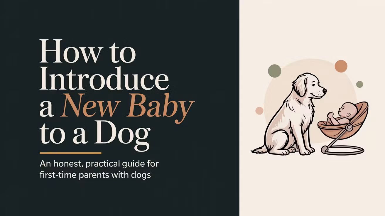 How to Introduce your baby to your dog