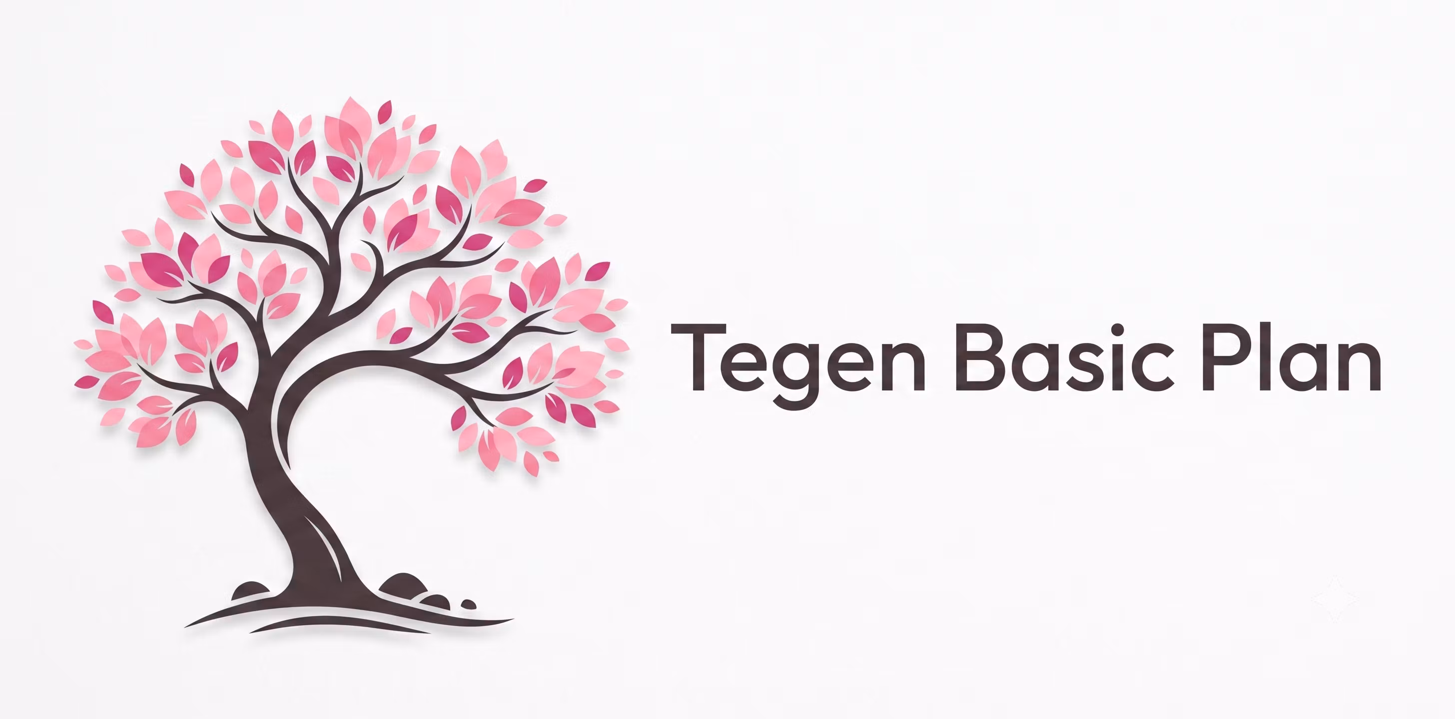 Tengen - EU Plan