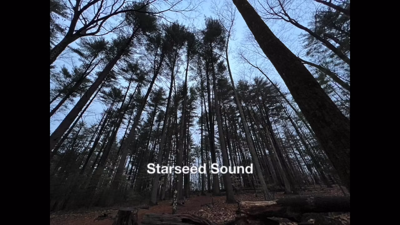 Starseed Sound Design Vol 1
