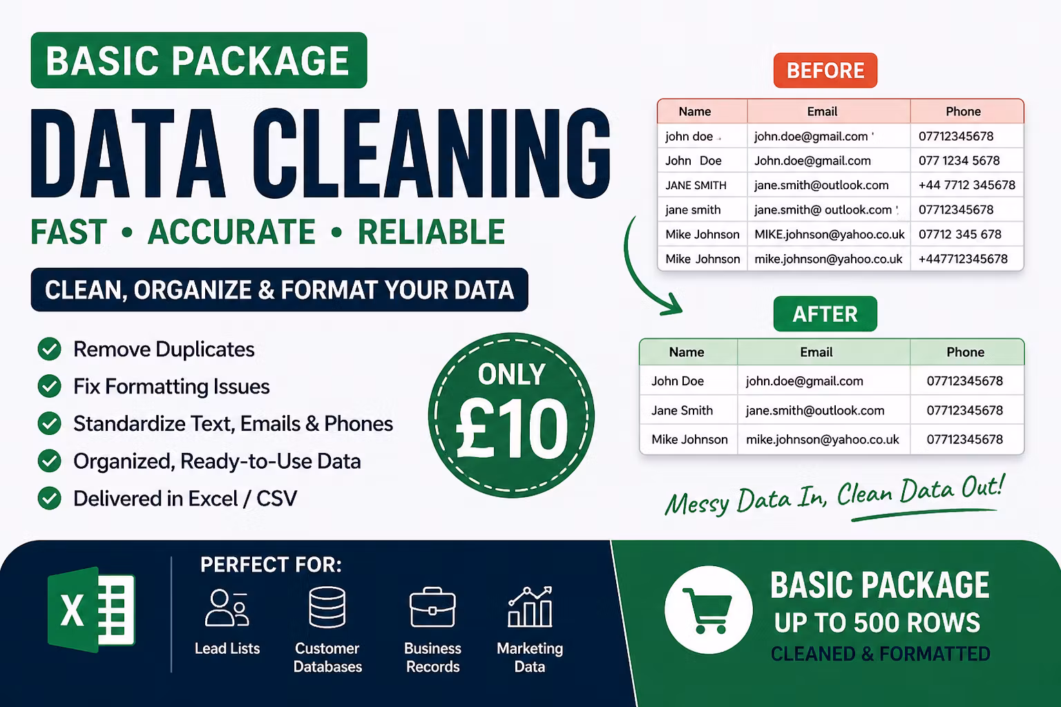 Data Cleaning Service (Basic)