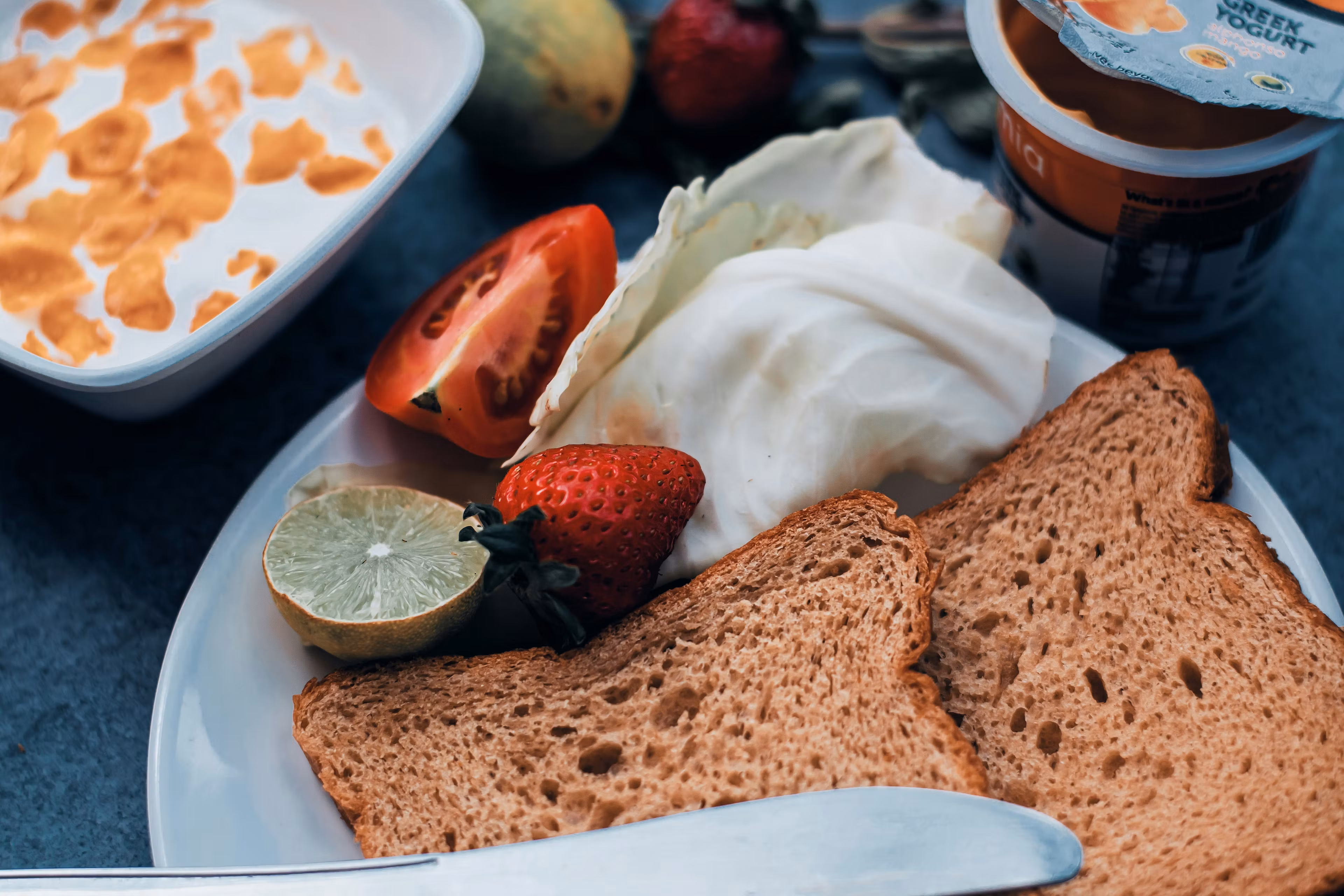 Muscle Meal System - Free 1-Day Preview 