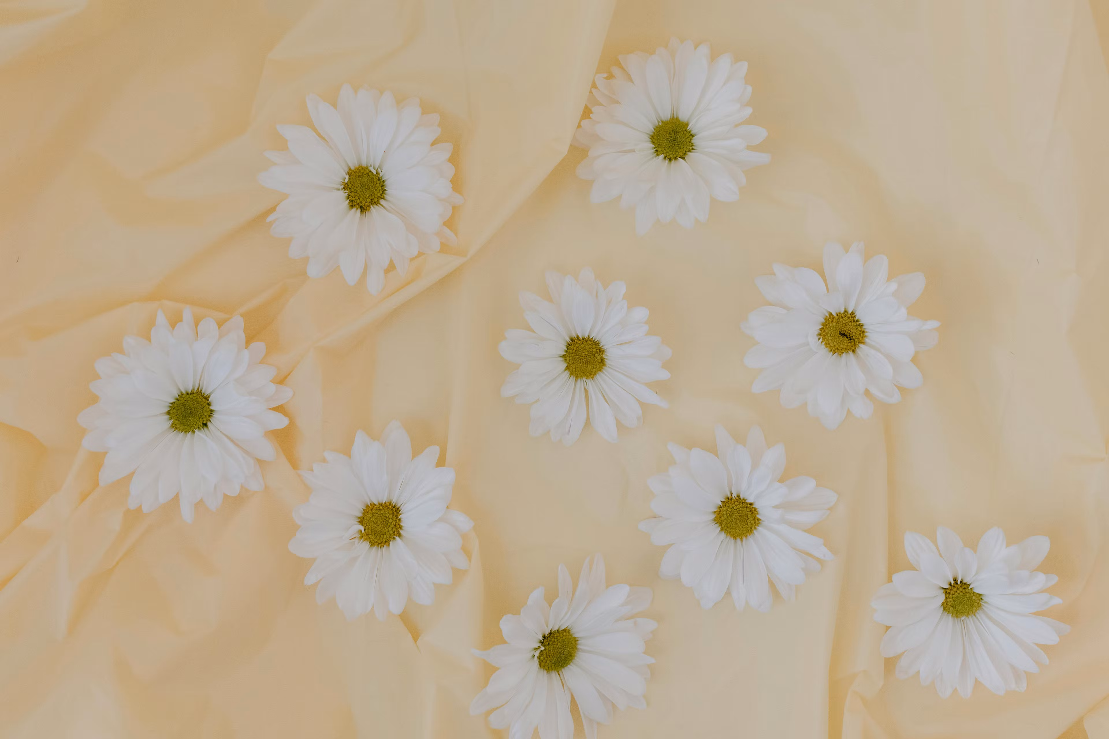 petal pages