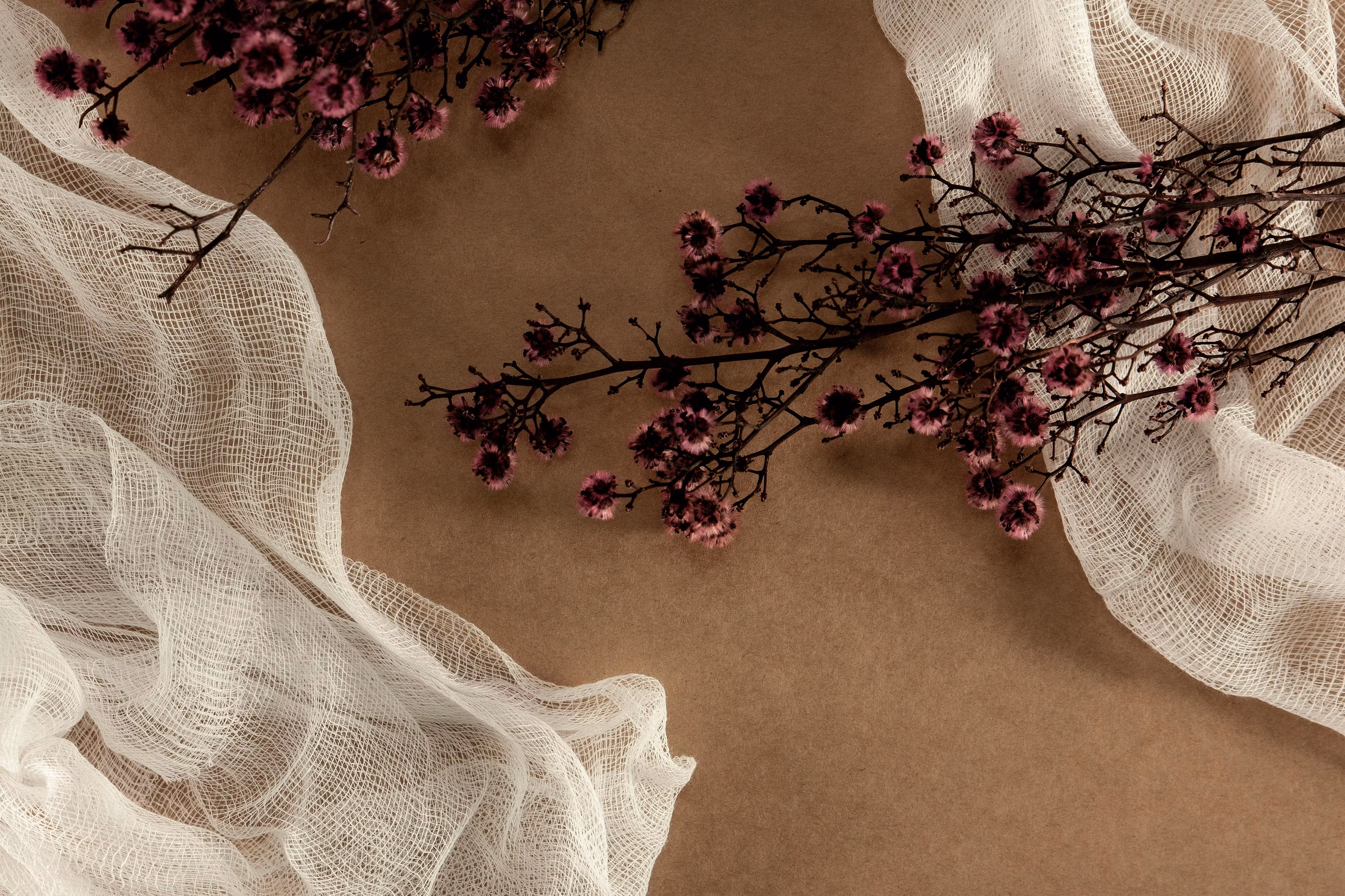 Bloom and Plan