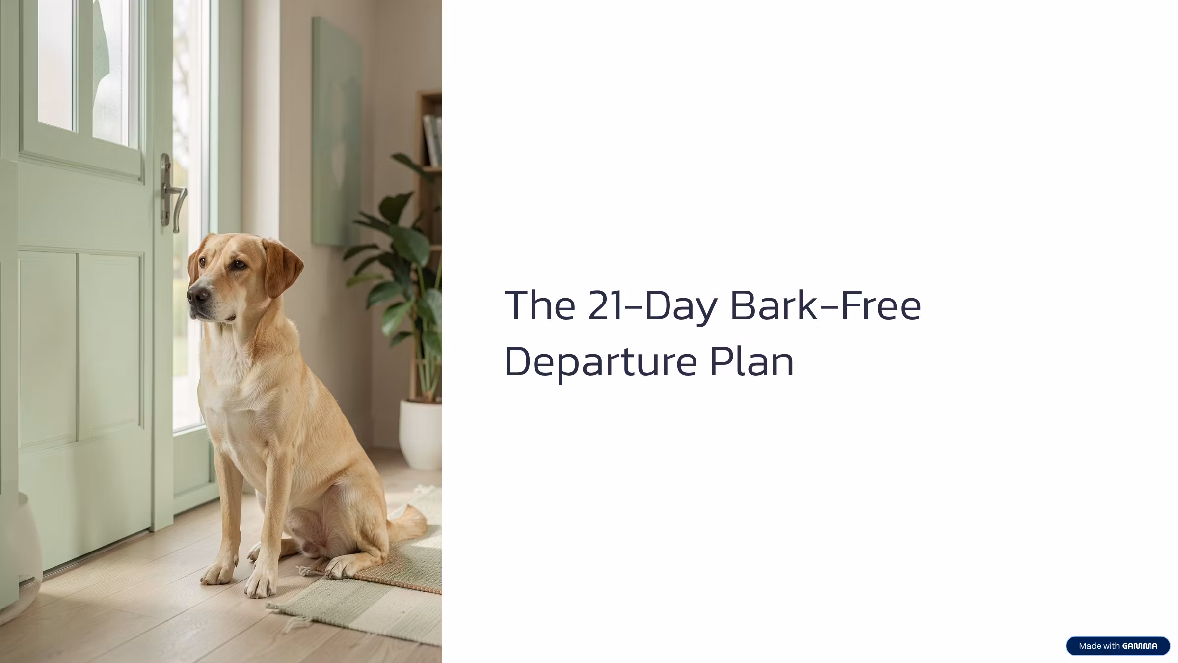 The 21-Day Bark-Free Departure Plan