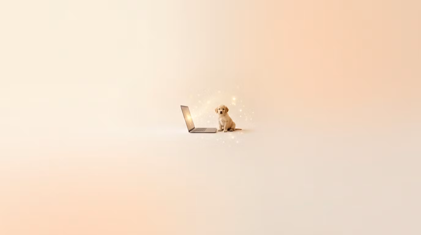 Fetch & Write