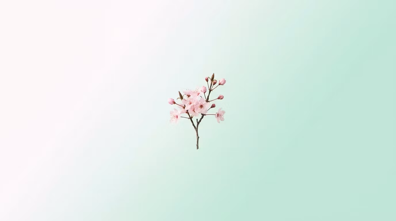 Blossom
