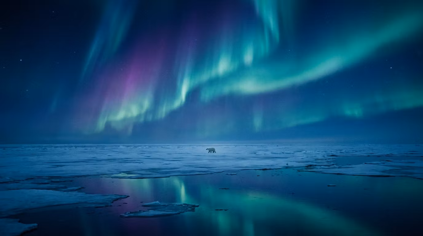 Polar Funded