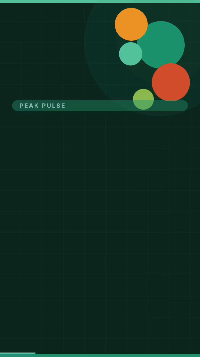 Peak Pulse: Fit on a Budget 