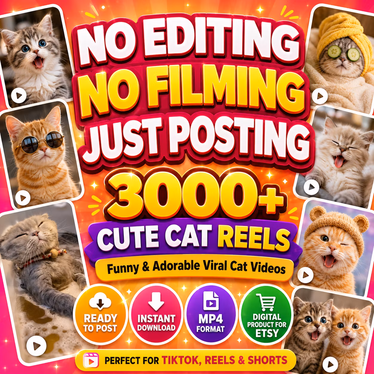 3000+ Cute Cat Reels Bundle | Funny Kitten Videos for Instagram, TikTok 