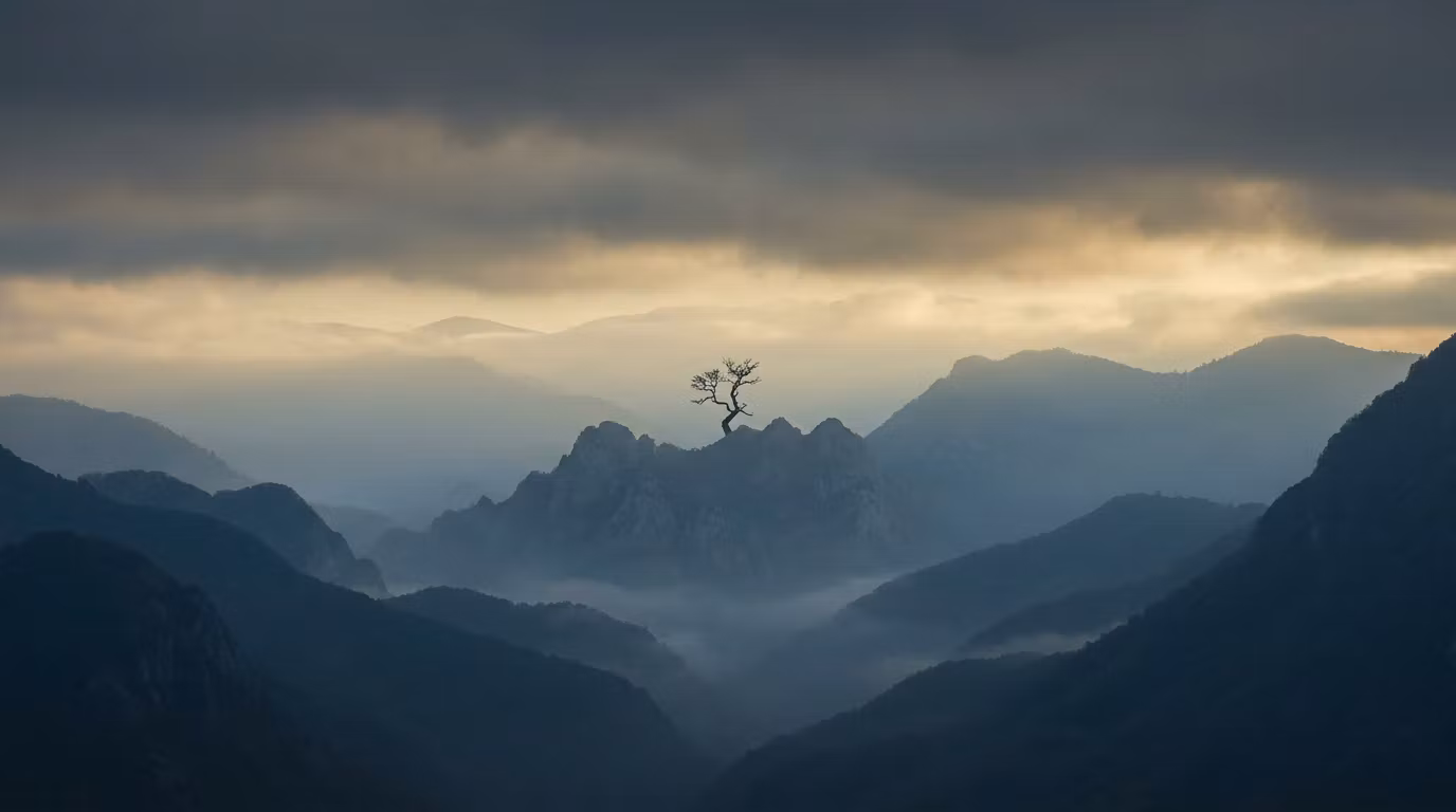 Echoes of Wisdom