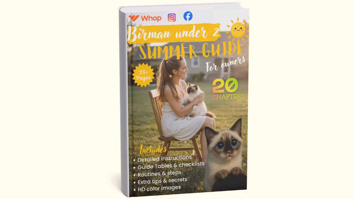 Birman under 2 Summer Care Guide for Owners