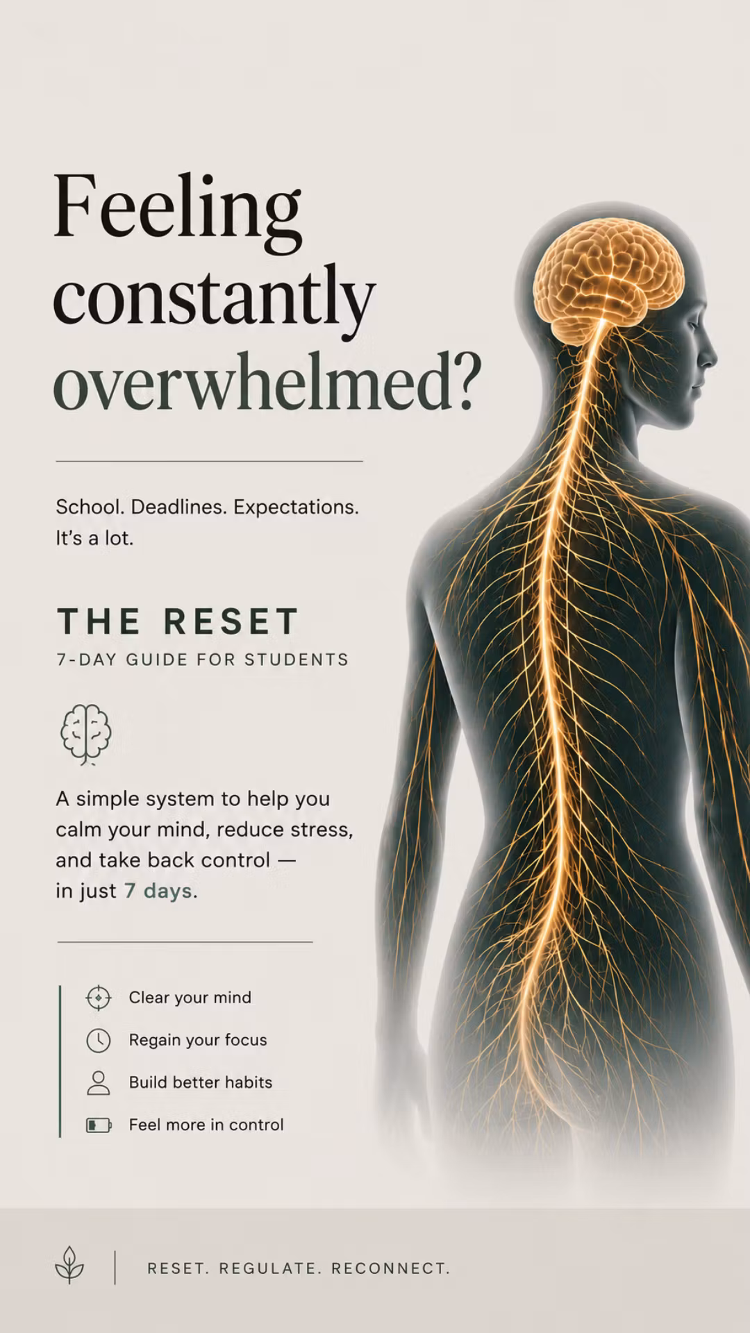 The Reset