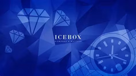 IcyBox Pro