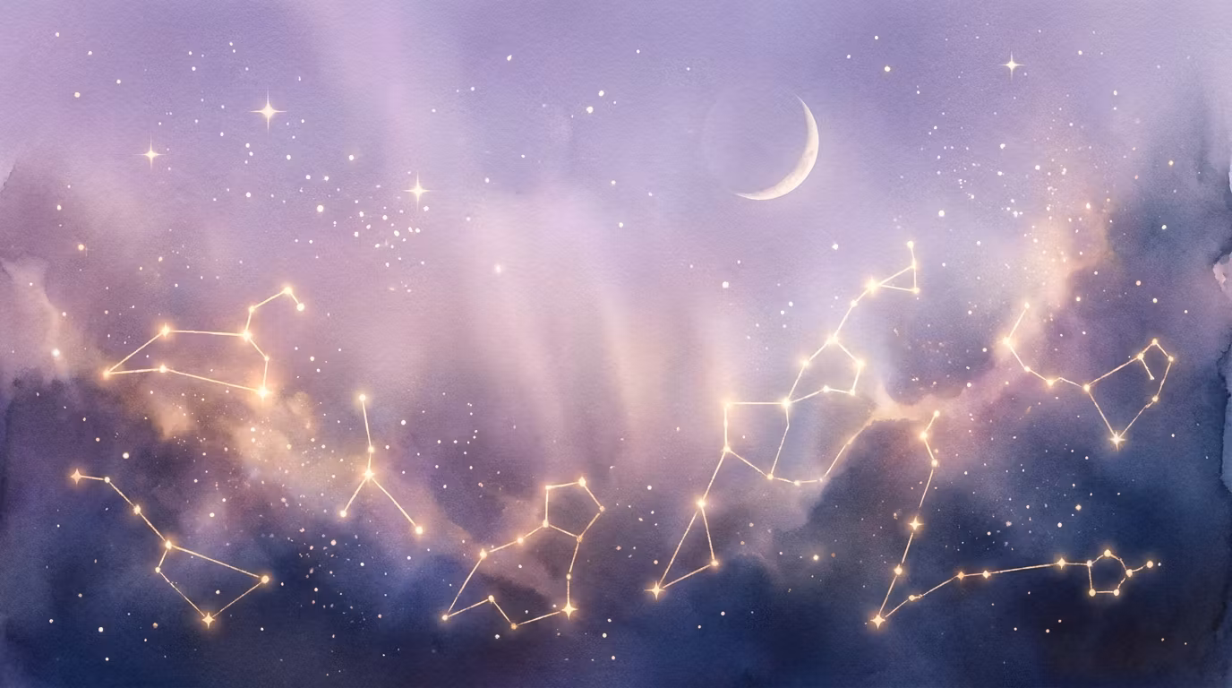 星座全套合集 · 12星座完全指南 ✨