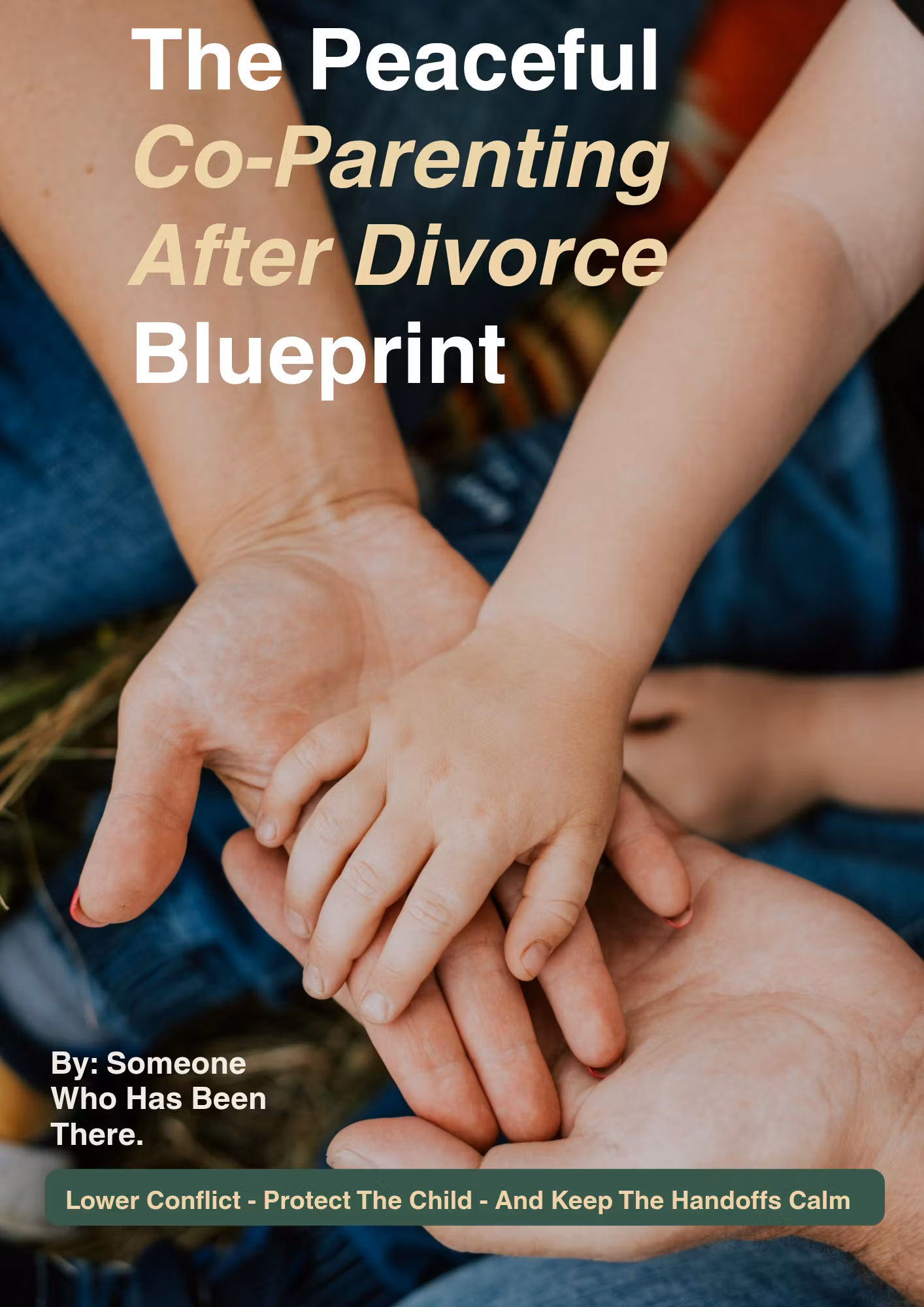 PEACEFUL CO-PARENTING AFTER DIVORCE BLUEPRINT 