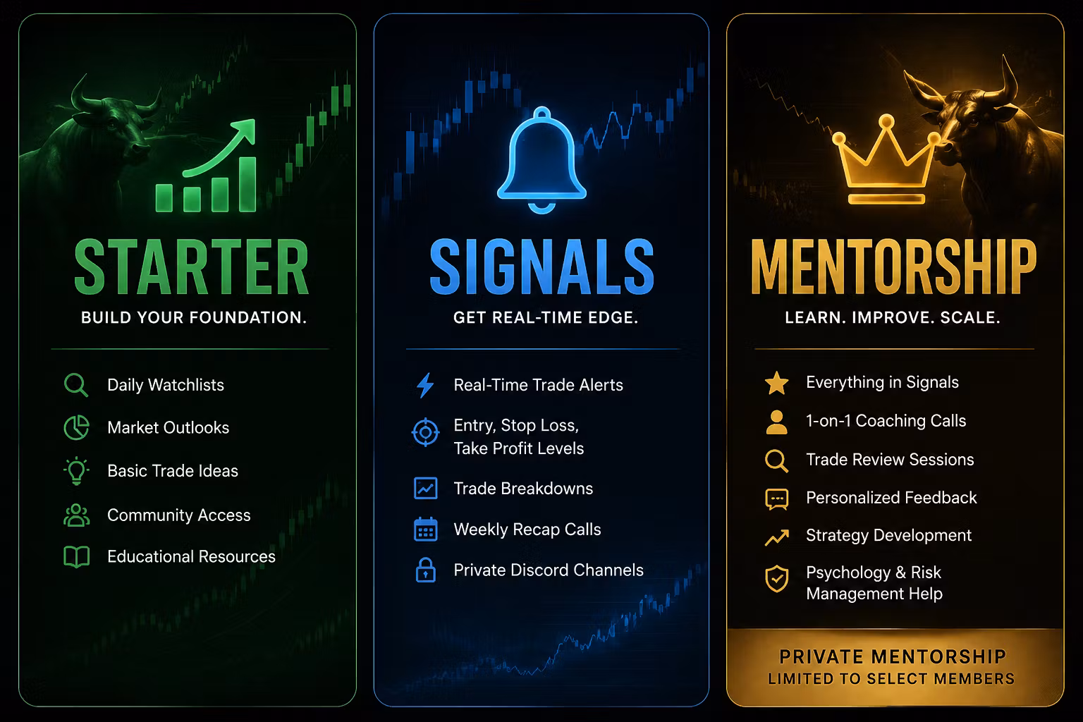 Starter Plan – $49/month