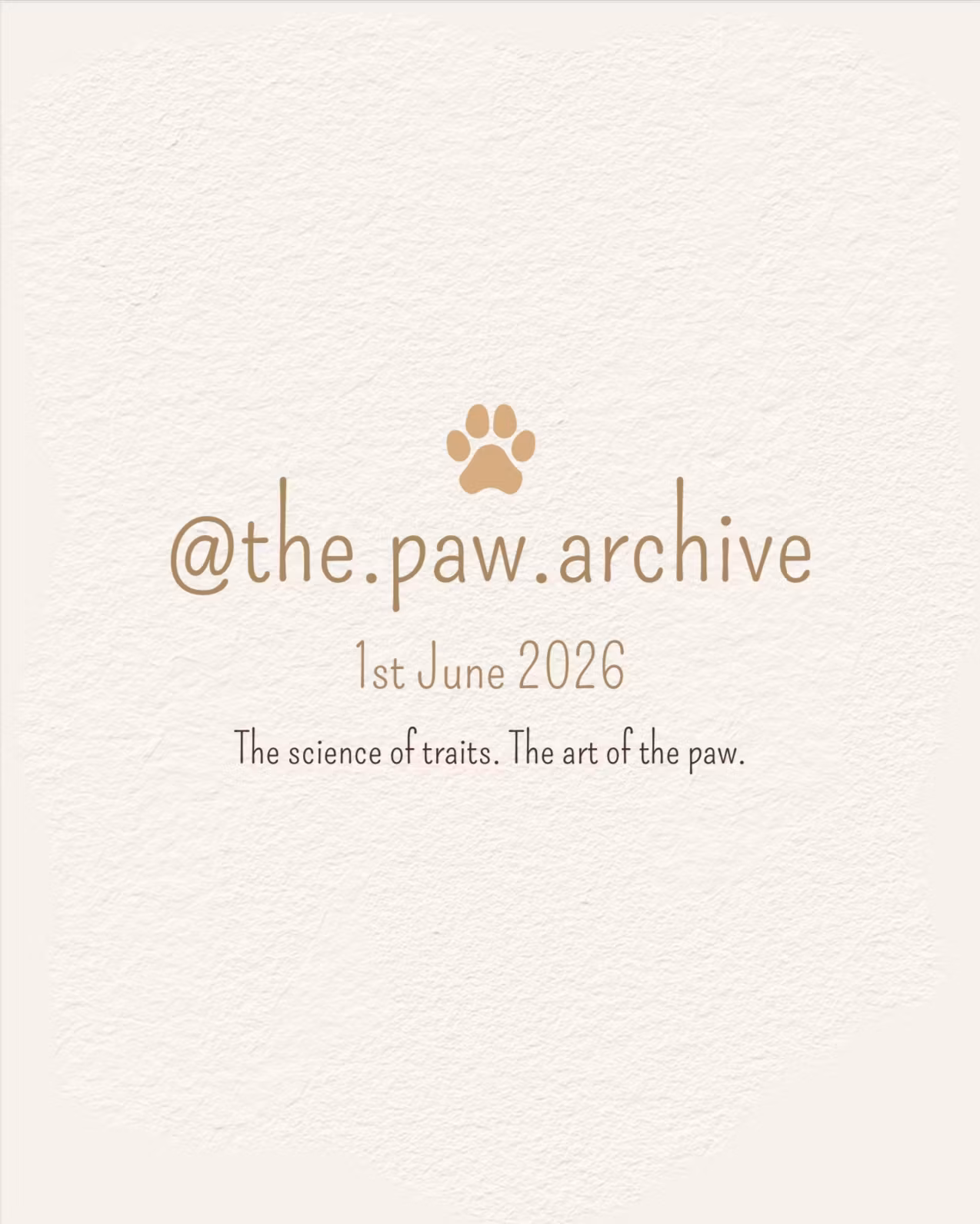 The Paw Archive - S1
