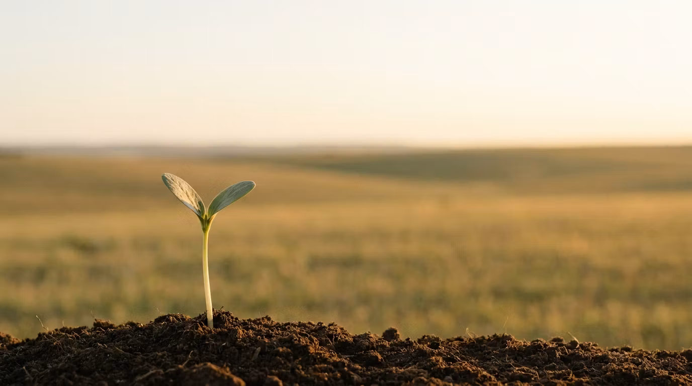 Cultivation Companies