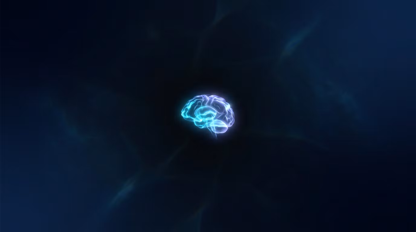 Velora AI