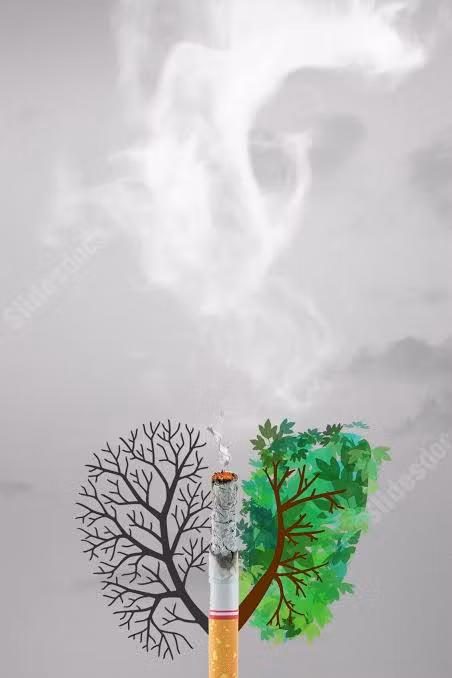 Quit Smoking Guide
