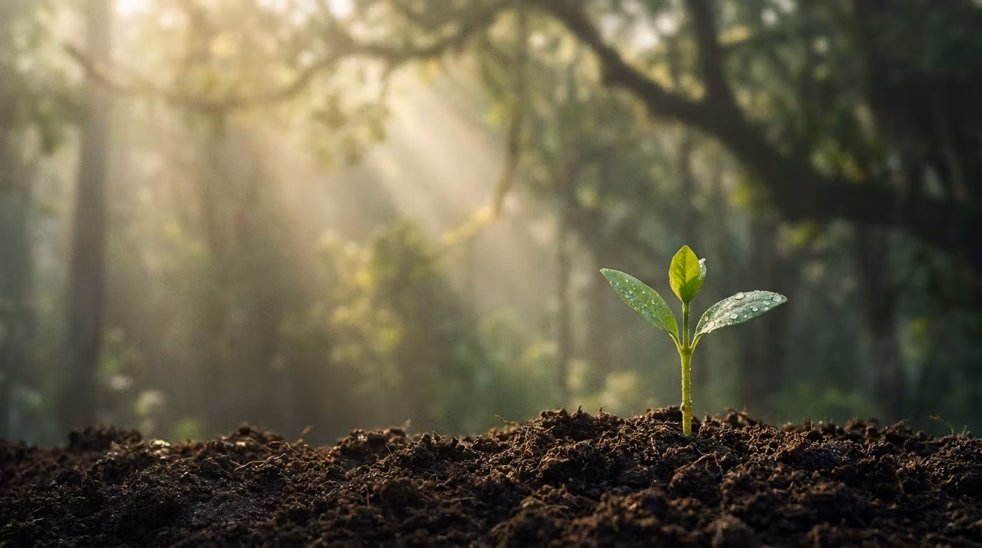 🌿 Próximamente