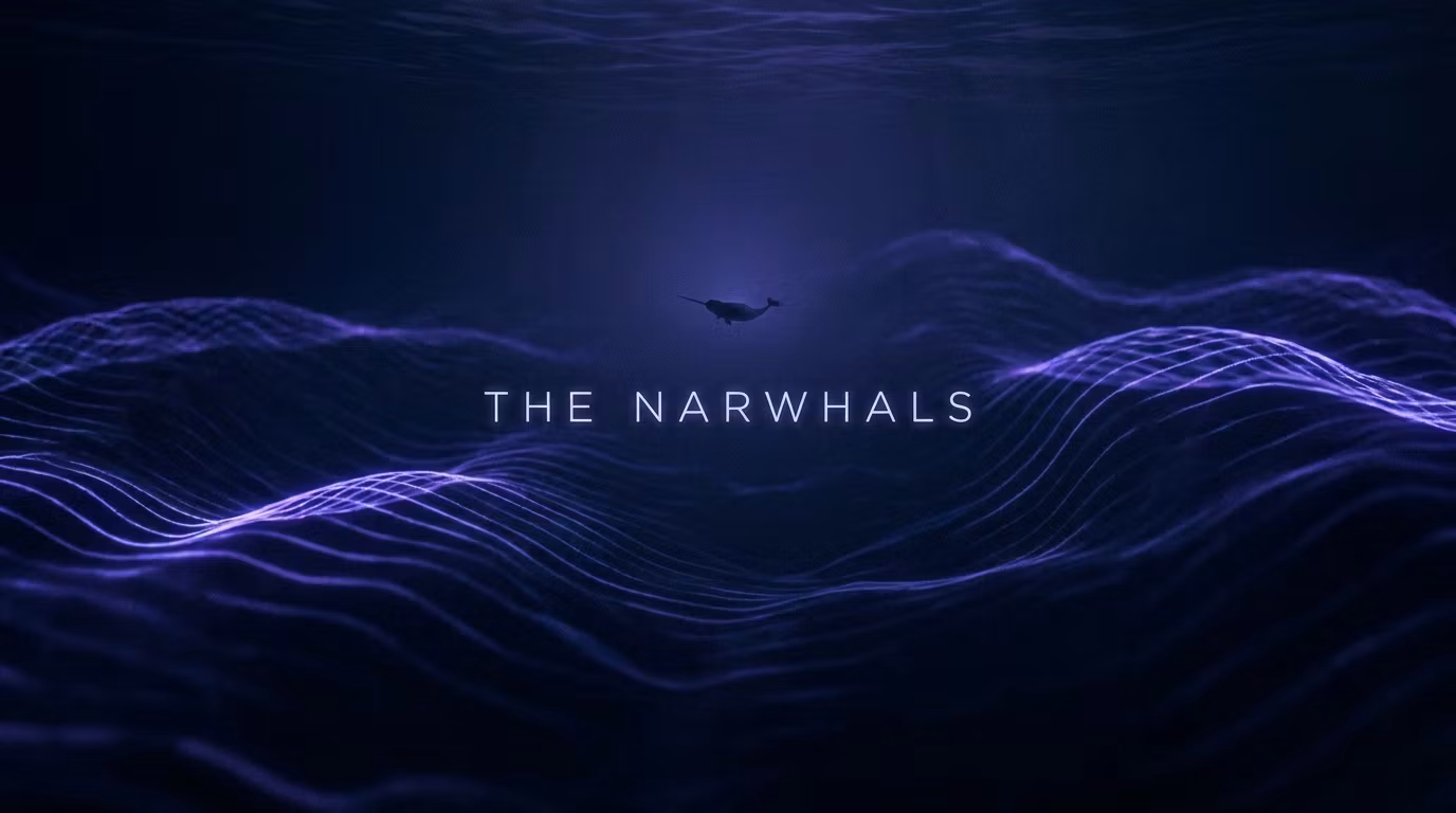 The Narwhals