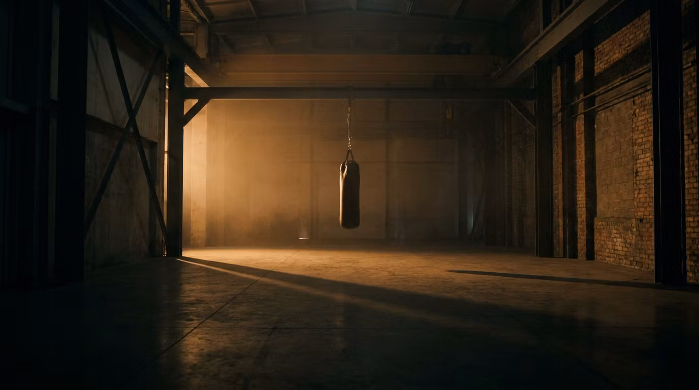 Fit Boxing