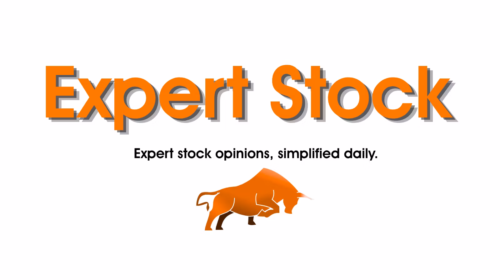 Expert Stock