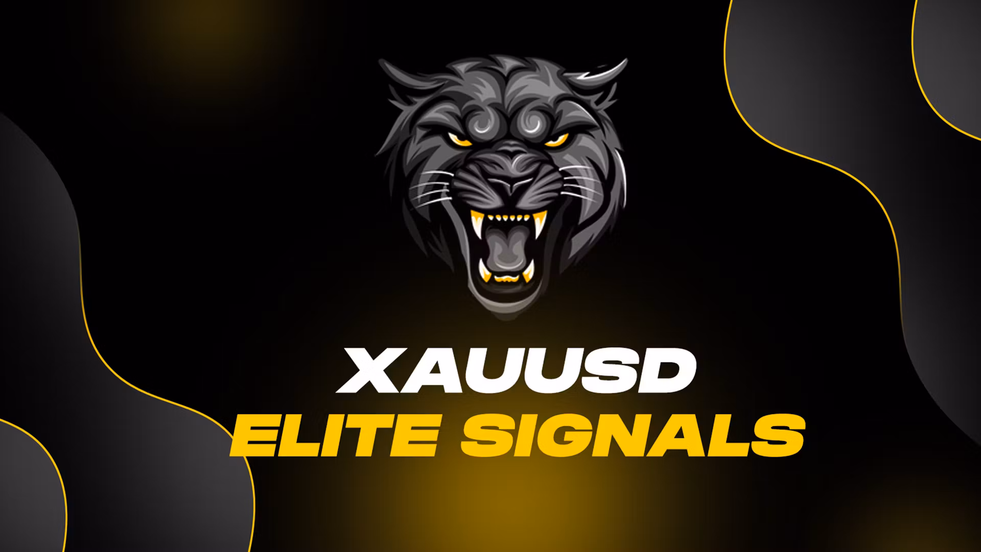 XAUUSD ELITE SIGNALS