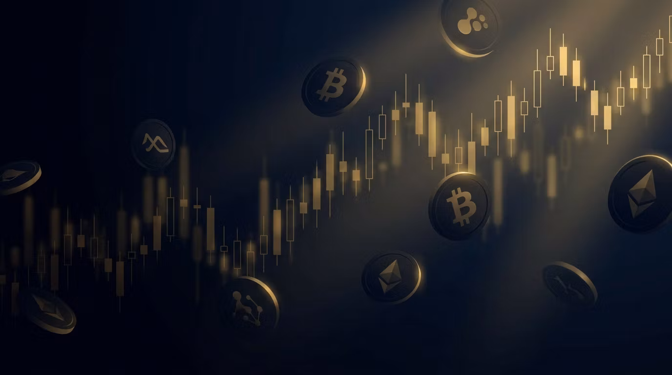 D1 Capital Trading — Membresía