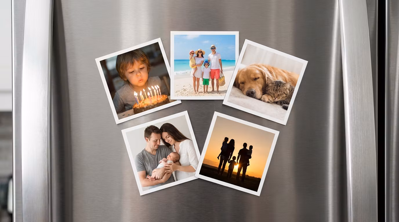 5 Magnet Pack