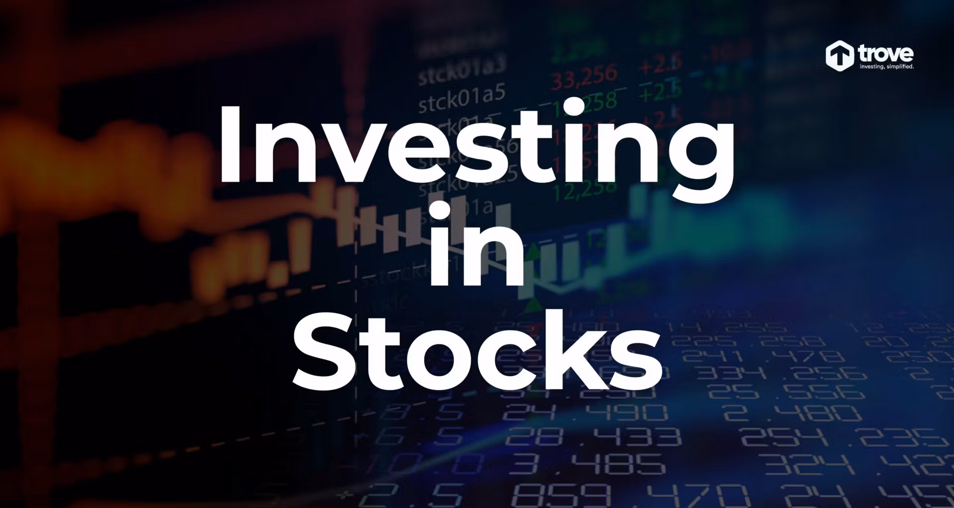 Stock Investing 