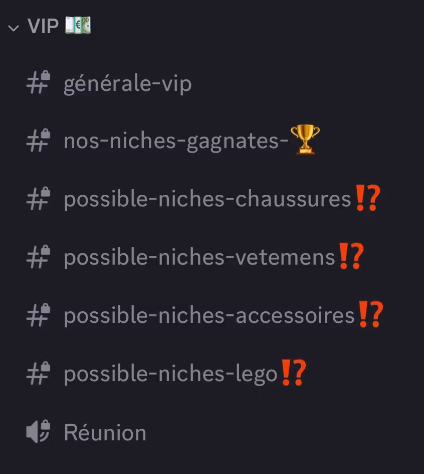 Accès au groupe discord VIP ! 