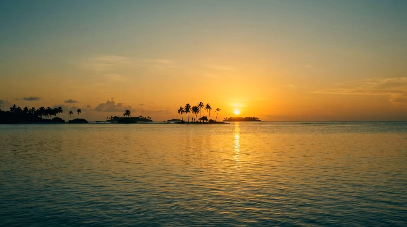Sun and Palm Vistas LLC