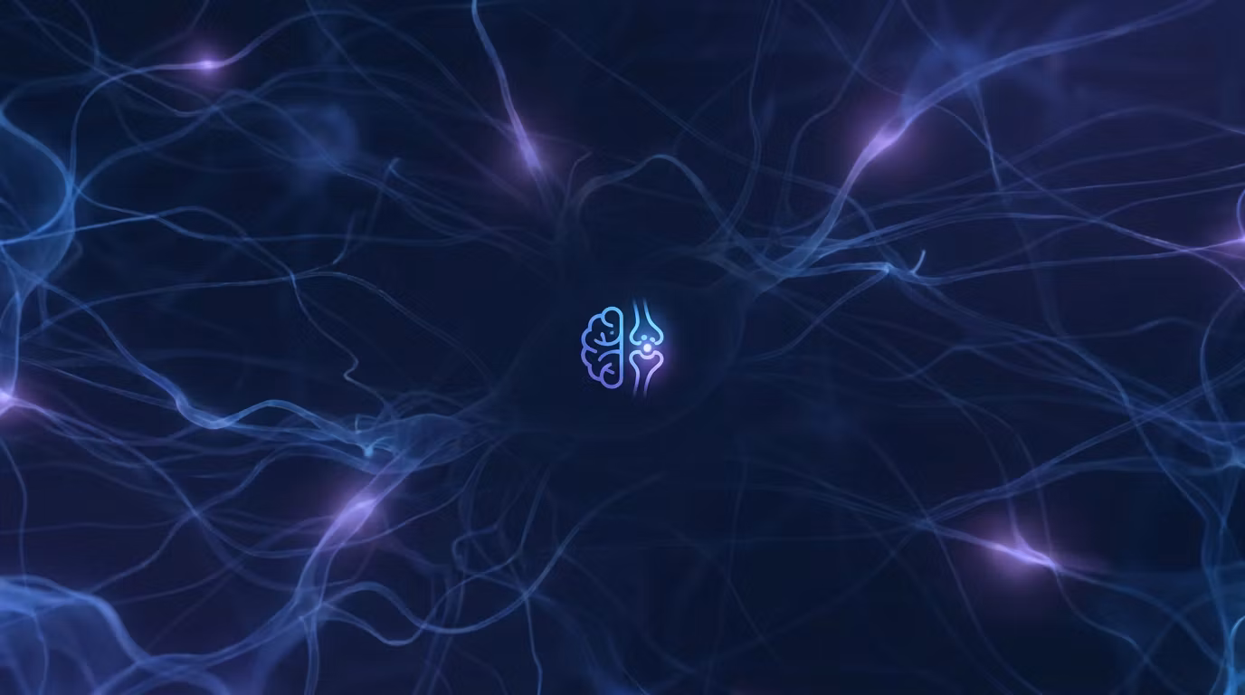 Synapse Academy