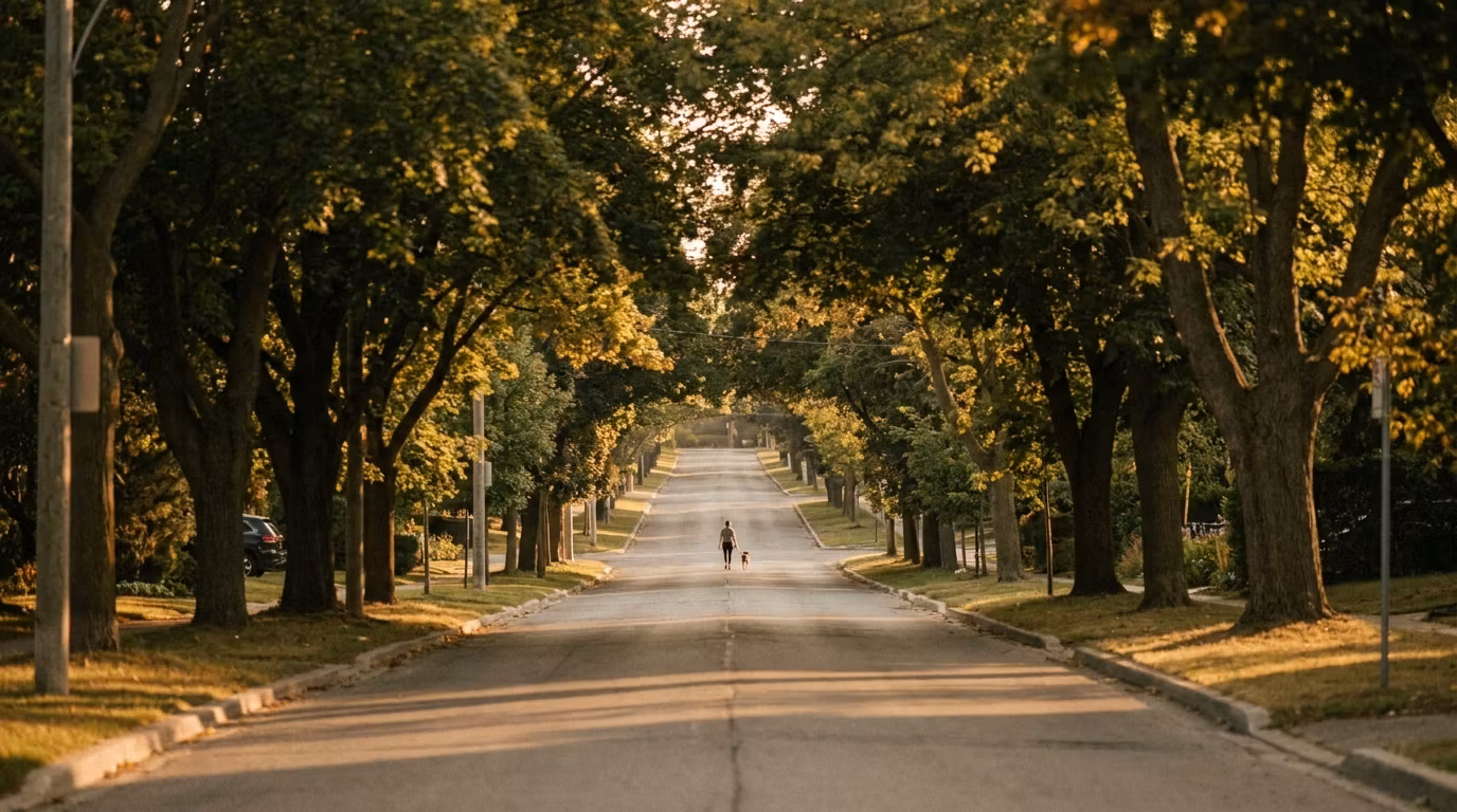 East York  Dogwalks