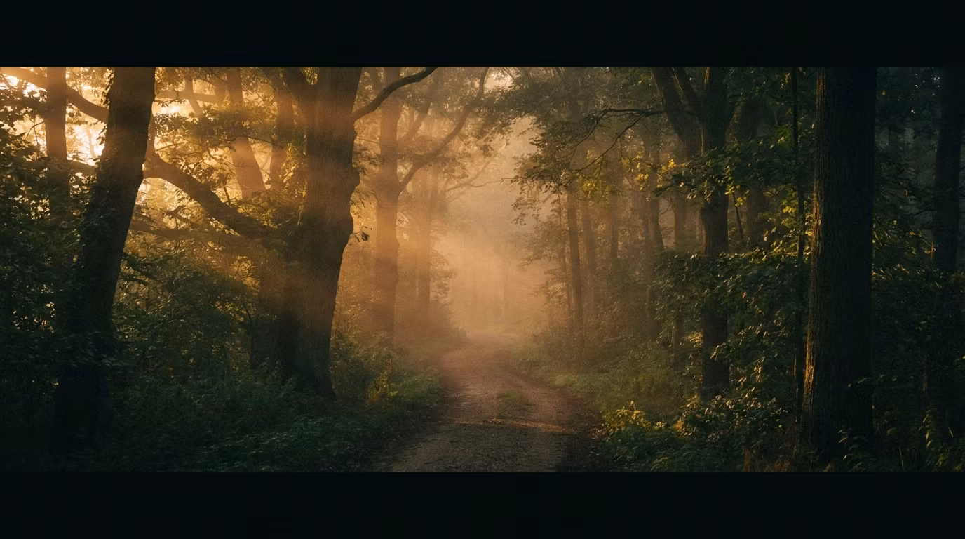 Nature & Chaos
