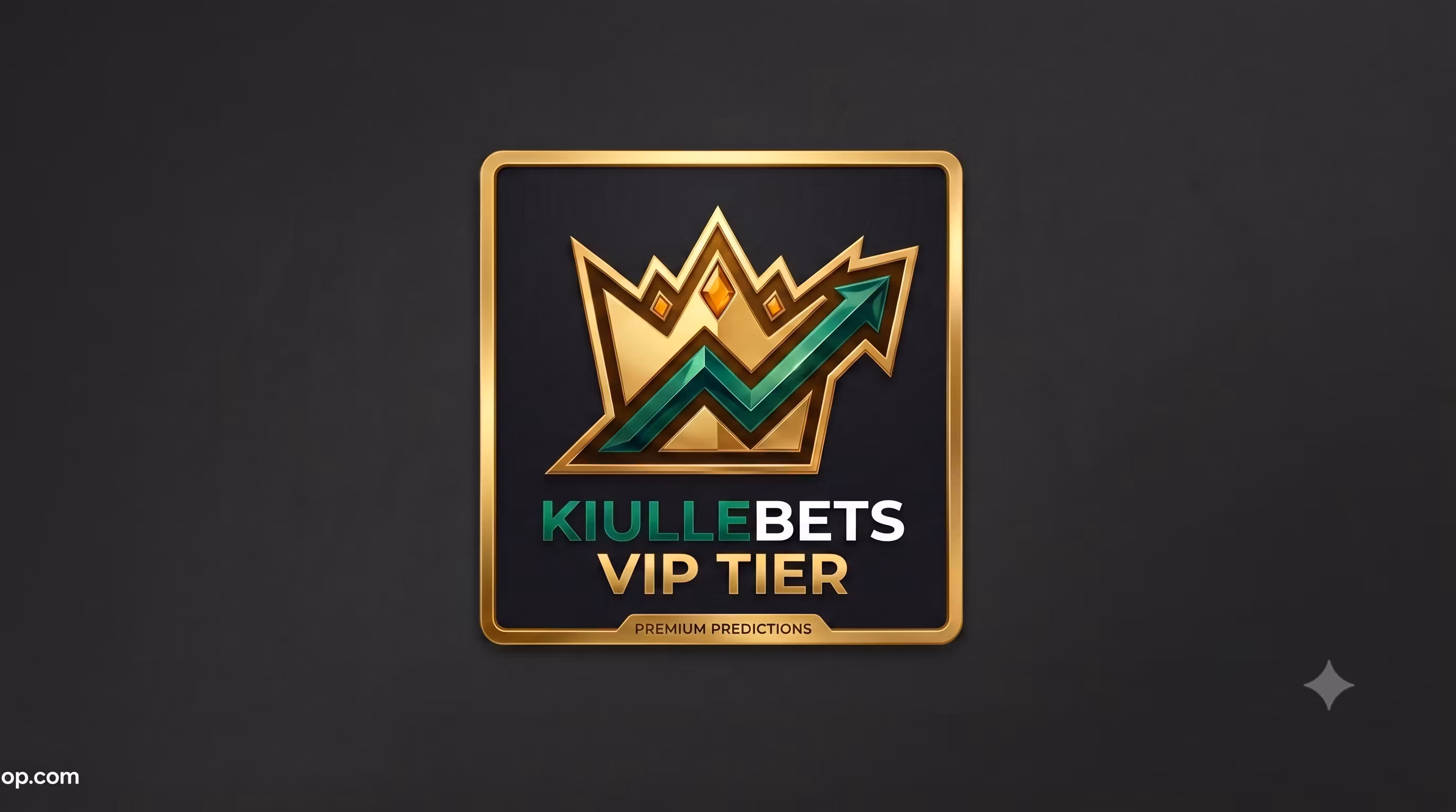VIP Premium Membership
