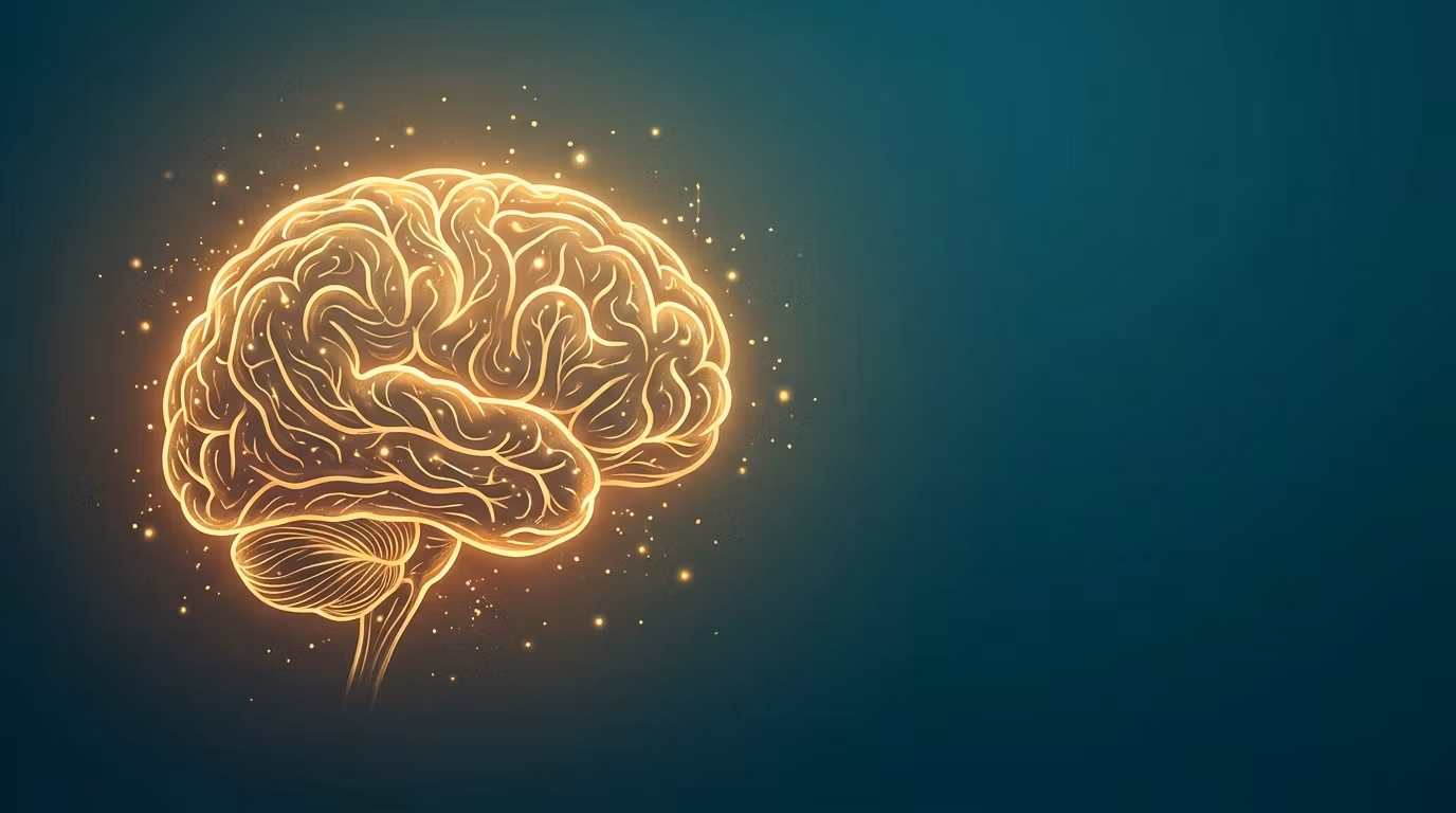 MemoryFit Pro