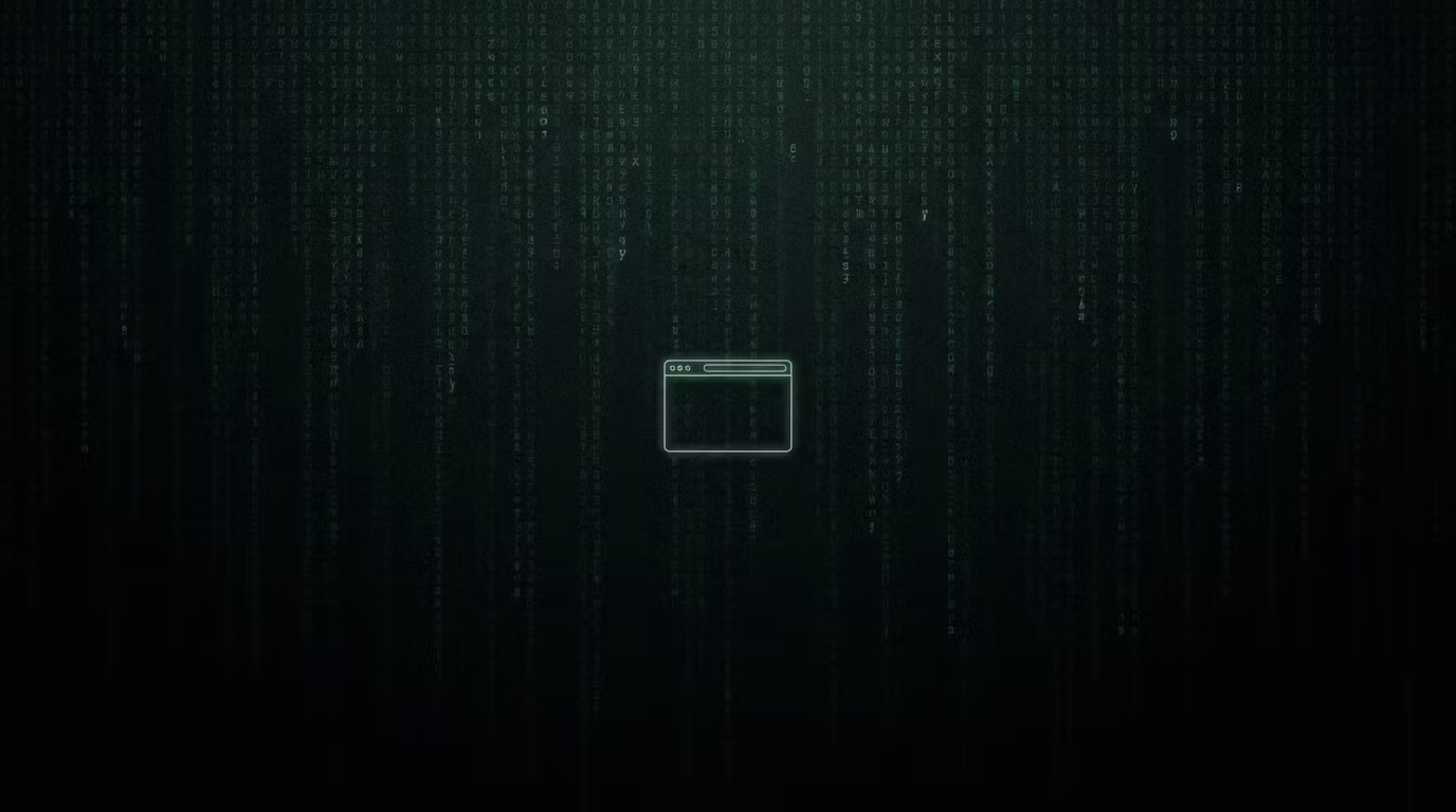 Anonymous Web Developer