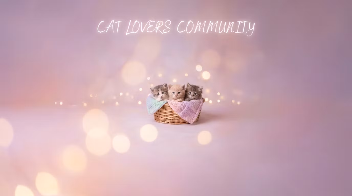The Cat Club