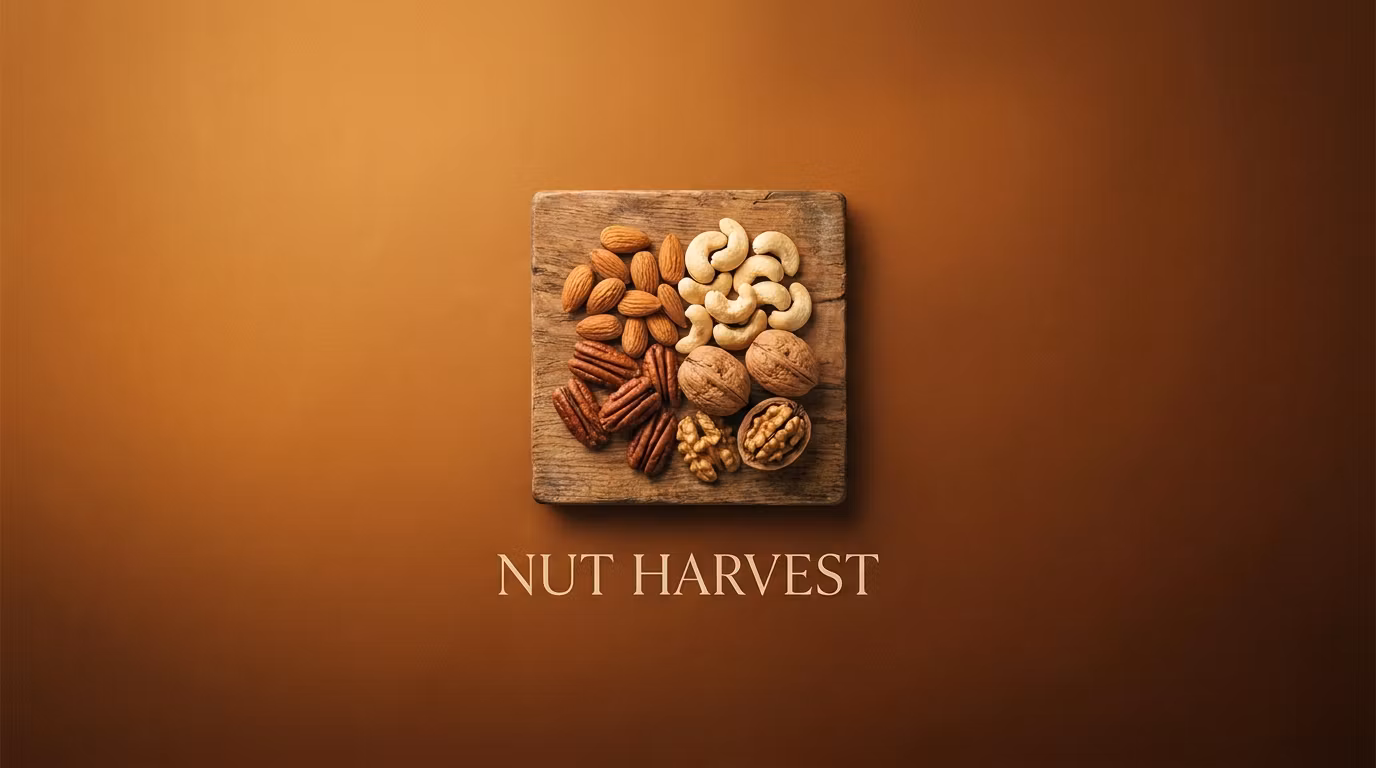 NUT HARVEST